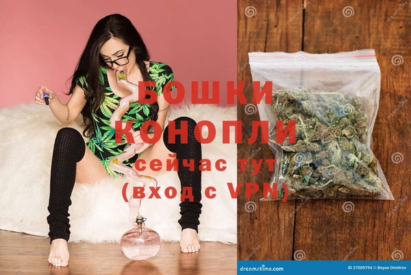 дурь Ладушкин
