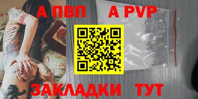 ешки Кингисепп