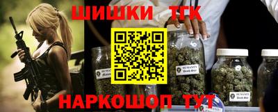 ешки Кингисепп