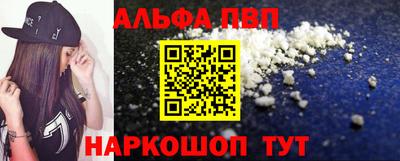 ешки Кингисепп