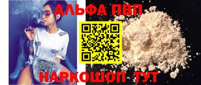 ешки Кингисепп