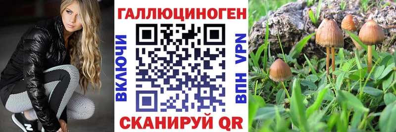 Псилоцибиновые грибы прущие грибы  Лесозаводск 