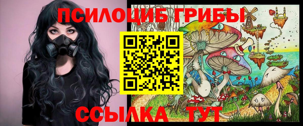 Псилоцибиновые грибы Psilocybine cubensis Лесозаводск